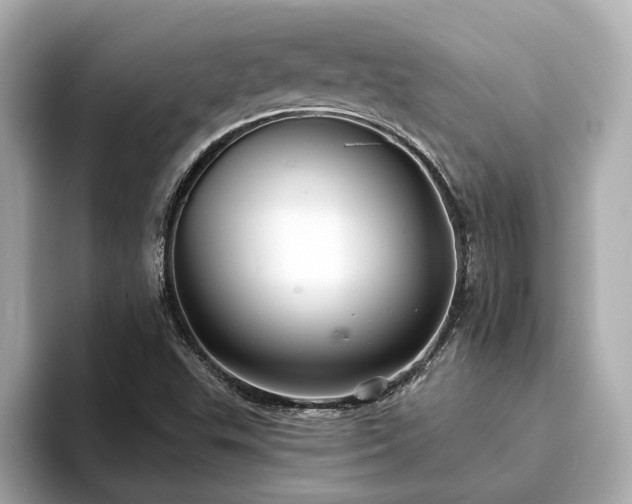 X0000094071503200710261235