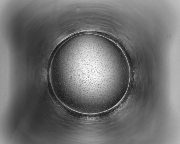X0000094071505200710261236