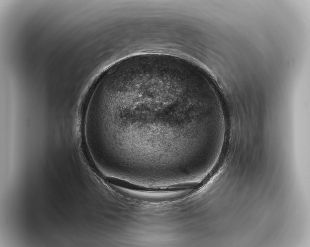 X0000094071506200710261236