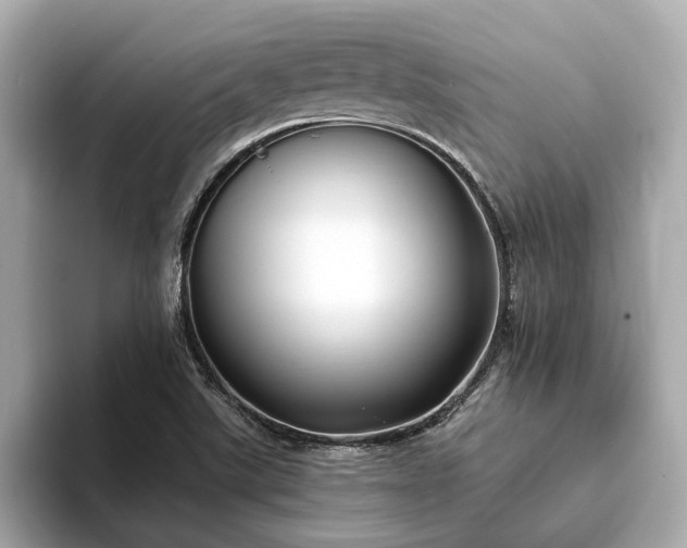 X0000094071507200710261236