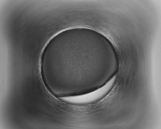 X0000094071508200710261236
