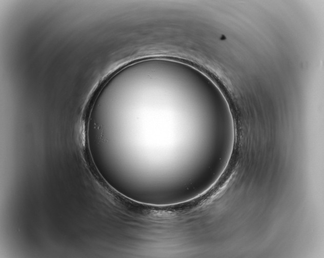 X0000094071509200710261236