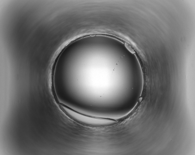 X0000094071512200710261236