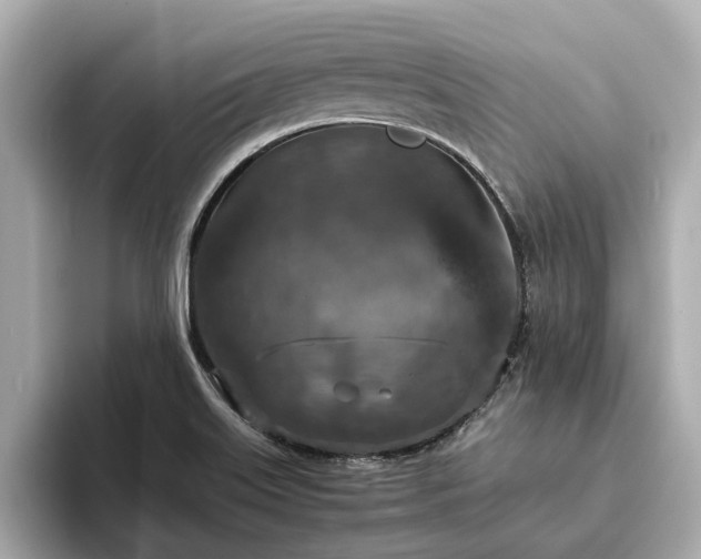 X0000094071515200710261236