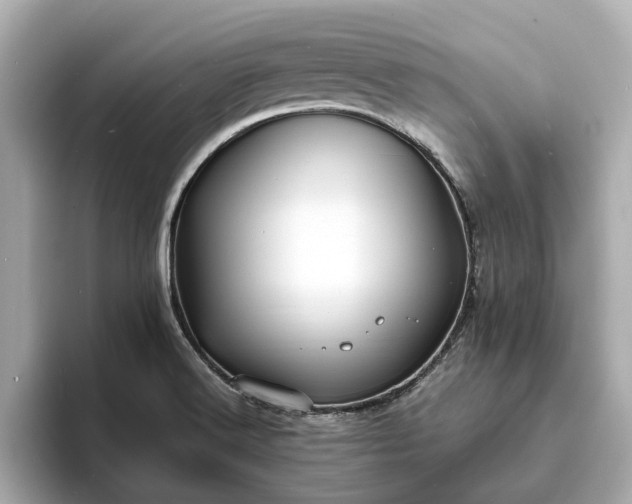 X0000094071516200710261236
