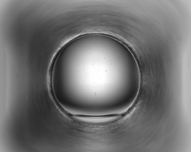X0000094071517200710261236