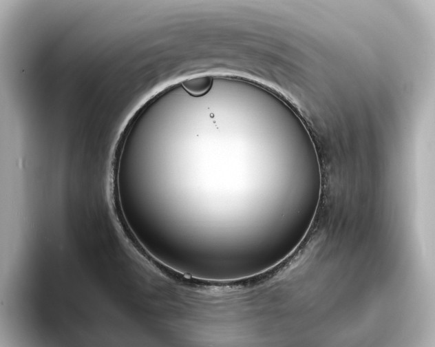 X0000094071518200710261236