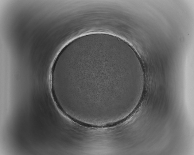 X0000094071519200710261236
