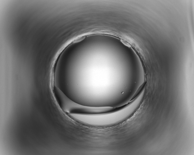 X0000094071520200710261236