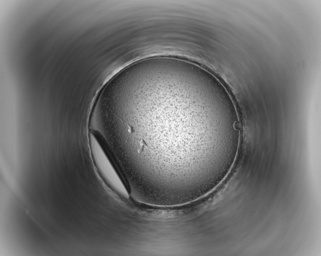 X0000094071521200710261236