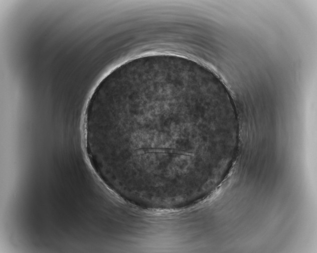X0000094071522200710261236