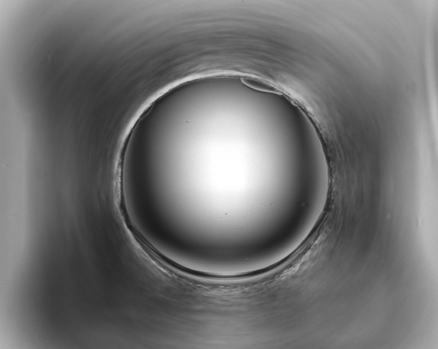 X0000094071524200710261236