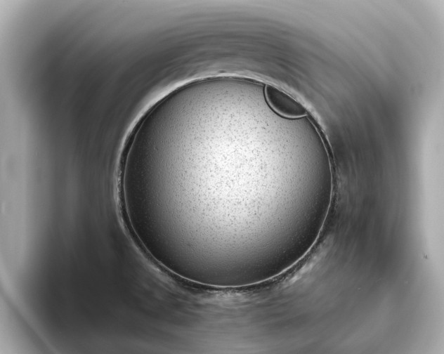 X0000094071525200710261236