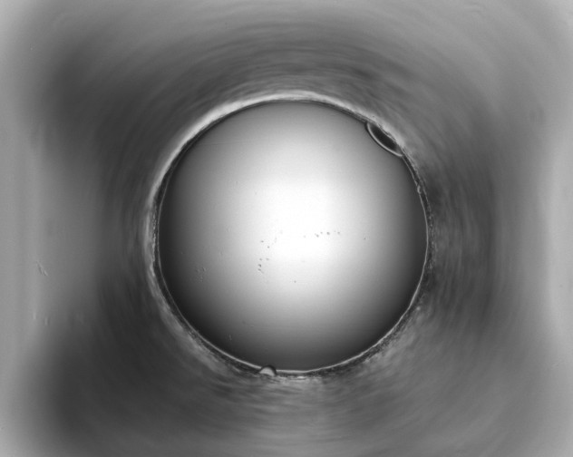 X0000094071526200710261236