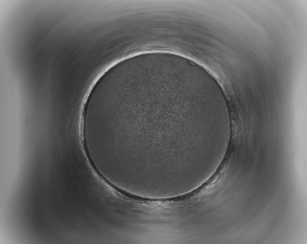 X0000094071527200710261236