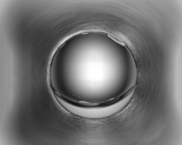 X0000094071528200710261236