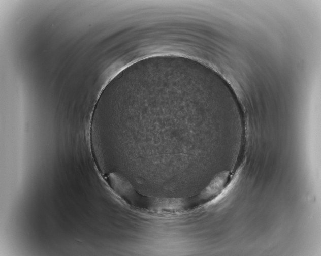 X0000094071529200710261236