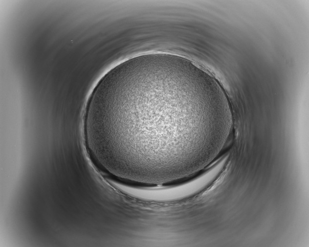 X0000094071530200710261236
