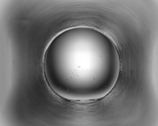 X0000094071532200710261236