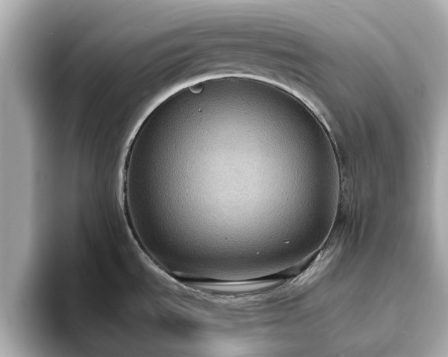 X0000094071535200710261236