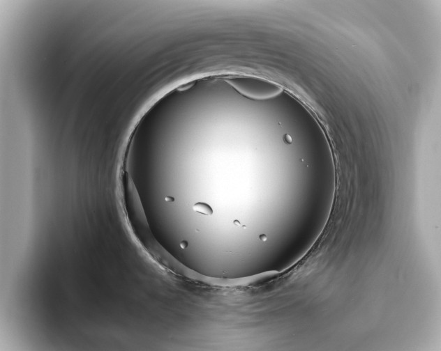 X0000094071536200710261236