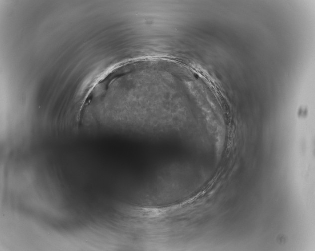 X0000094070002200711021520