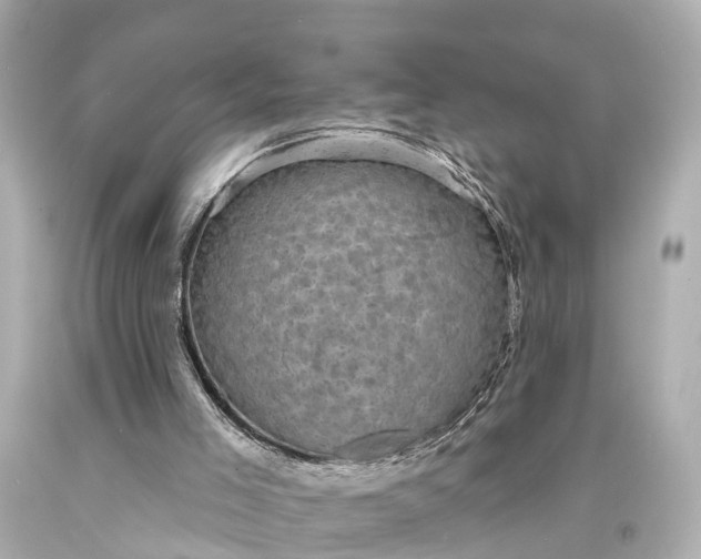 X0000094070005200711021520