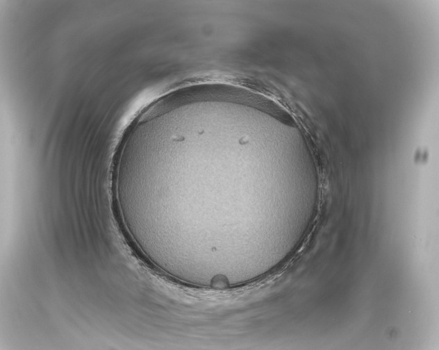 X0000094070006200711021520