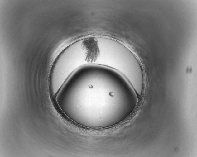 X0000094070007200711021520