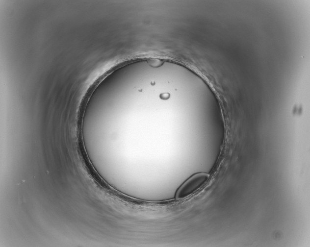 X0000094070008200711021520