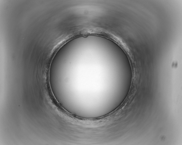 X0000094070010200711021520