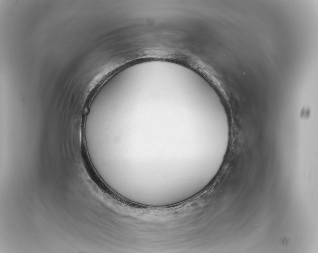 X0000094070011200711021520