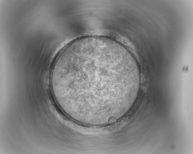 X0000094070012200711021520