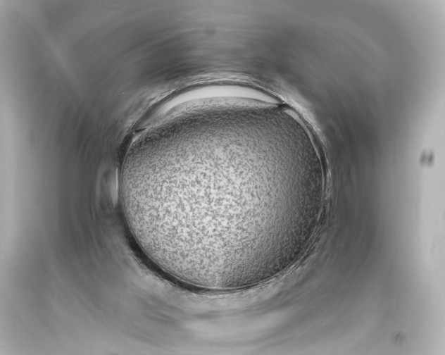X0000094070013200711021520