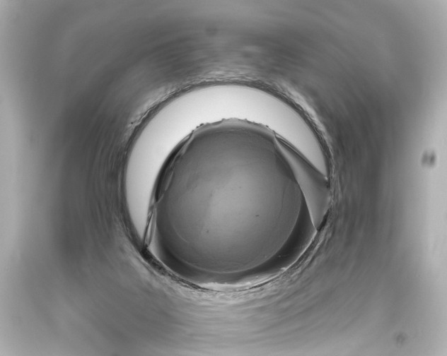 X0000094070019200711021520