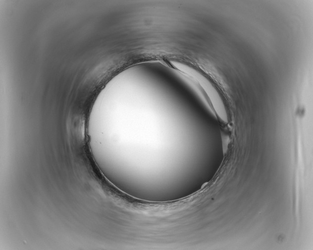 X0000094070021200711021520