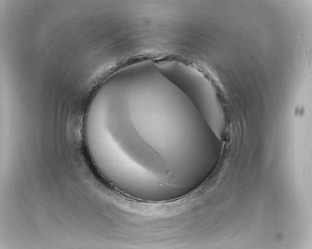 X0000094070023200711021520