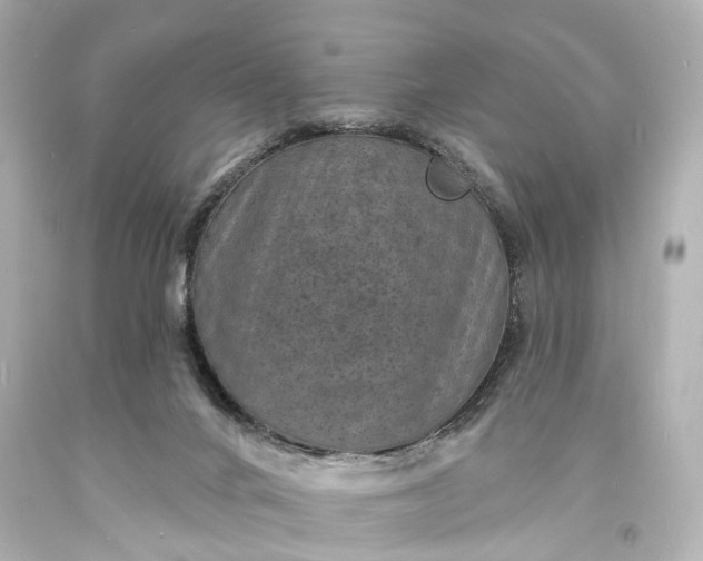 X0000094070024200711021520