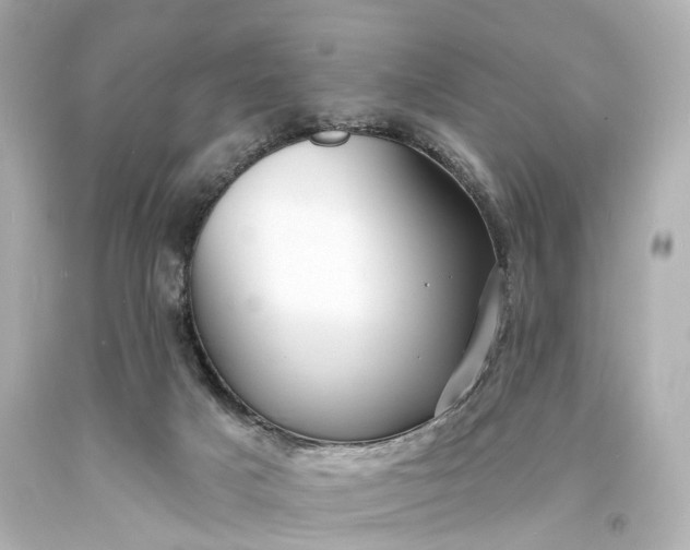 X0000094070025200711021520
