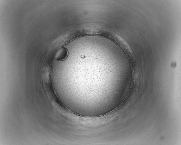 X0000094070026200711021520
