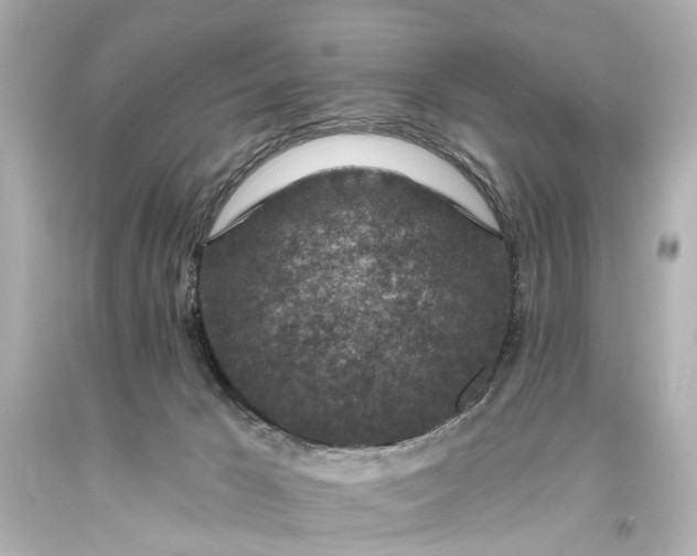 X0000094070029200711021520