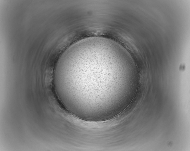 X0000094070030200711021520