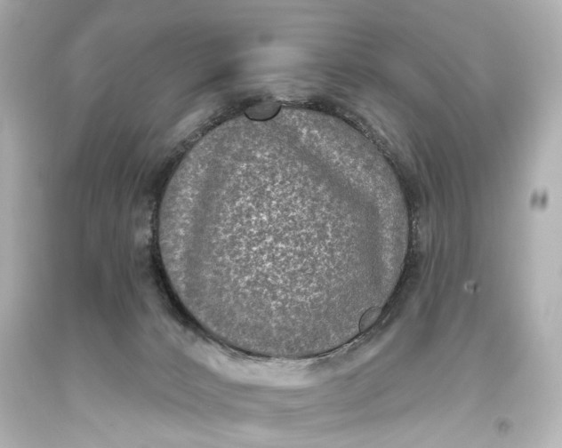 X0000094070032200711021520