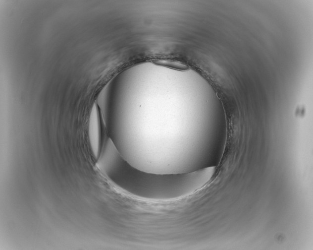 X0000094070033200711021520