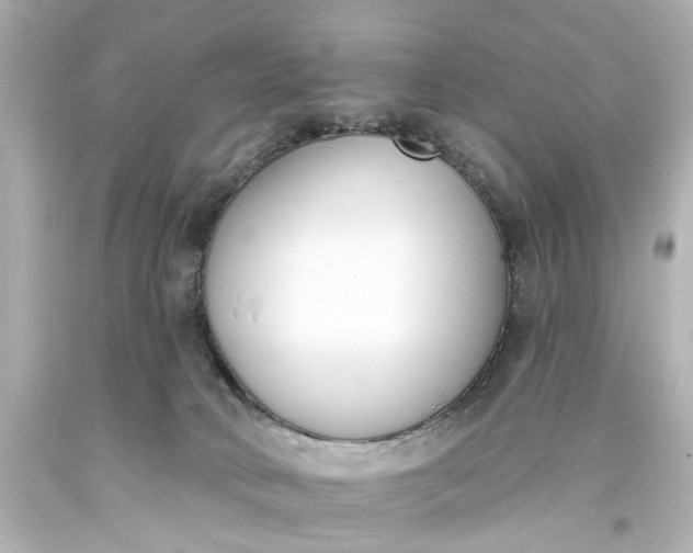 X0000094070034200711021520
