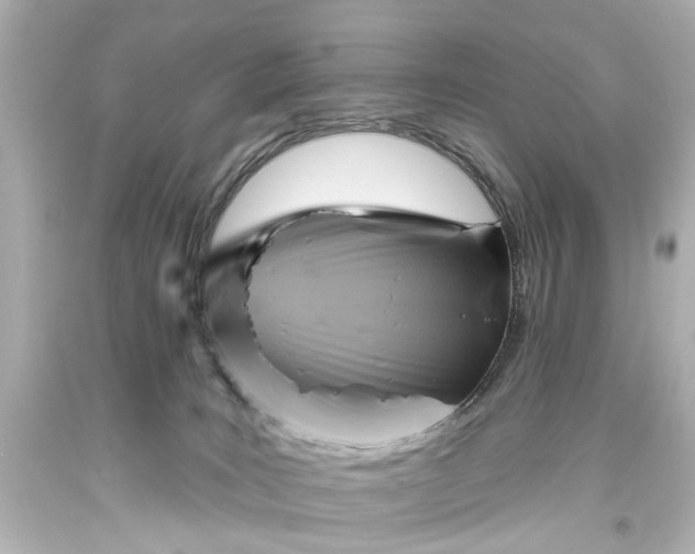 X0000094070035200711021520