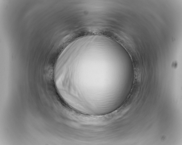 X0000094070036200711021520