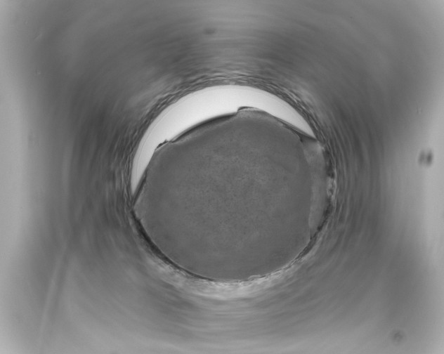 X0000094070037200711021520