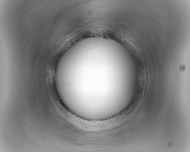 X0000094070038200711021520