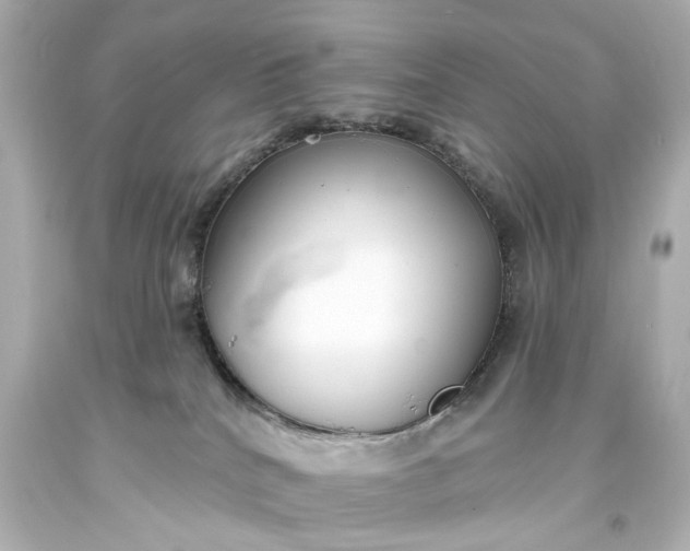 X0000094070040200711021520